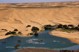 Image du Maroc Professionnelle de  Vue aérienne de la partie stagnante de la Sakia Al Hamra au environ de Laayoune où des oiseaux migrateurs comme les flamants roses trouvent refuge et repos durant leur voyage selon la saison, le 9 Avril 2010. (Photo / Abdeljalil Bounhar)


 